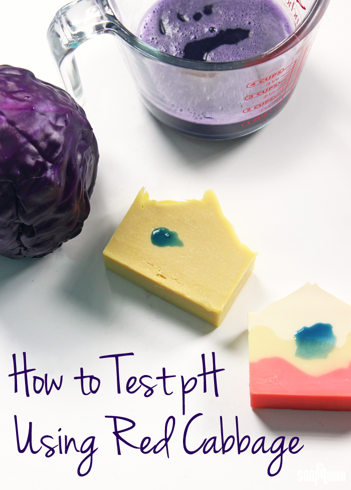 to Test with Red Cabbage Soap Queen
