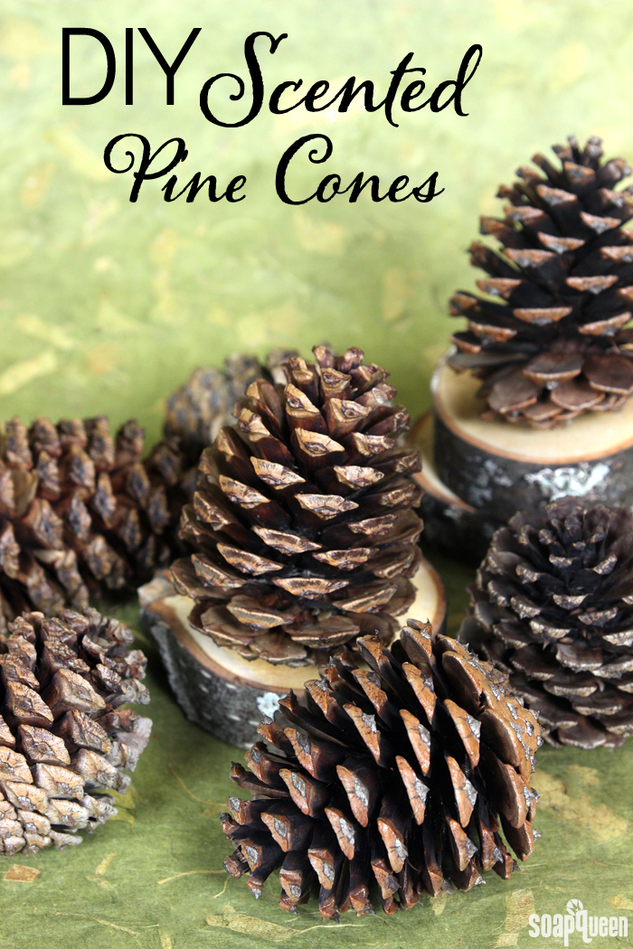 Essential Oil scented pinecones. 