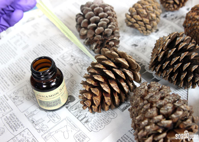 How to Make DIY Scented Pinecones - 2 Bees in a Pod