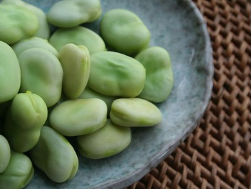 800px-Broad-beans-after-cooking