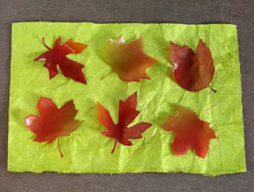 FallSoapLeaves2