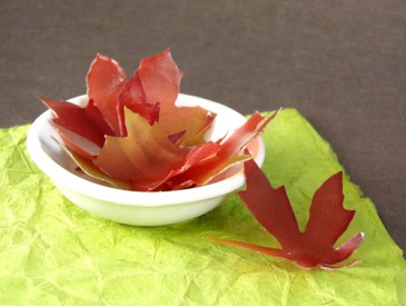 FallSoapLeaves3