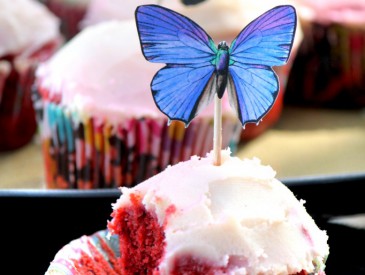 cupcake-682x1024