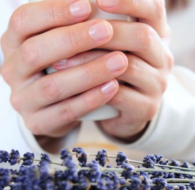 Hands holding a cup