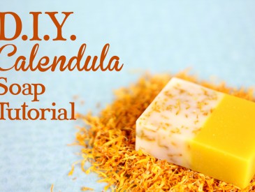 DIYcalendulasoap