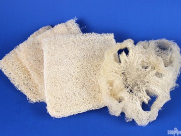 LoofahSpongeBlog_500px