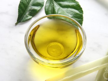 Moringa Seed Oil