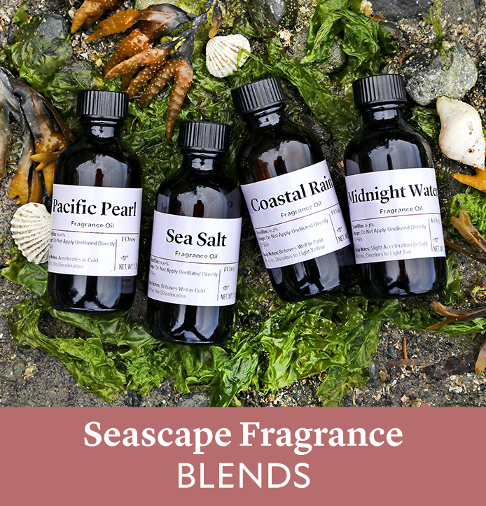 Saltwater & Coconut Musk | Fragrance Oil